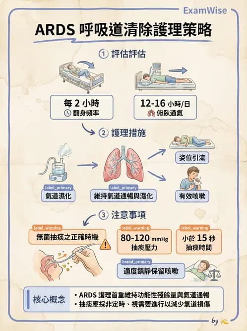 護理師 - 呼吸衰竭與胸腔護理 - AI 圖文解析預覽