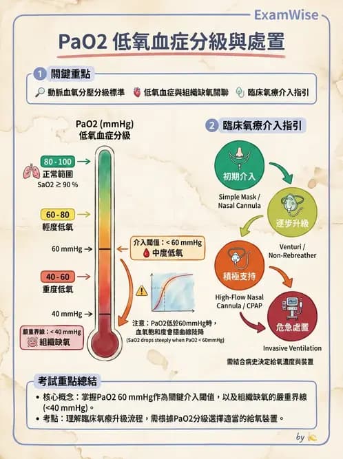 護理師 - 呼吸衰竭與胸腔護理 - AI 圖文解析預覽