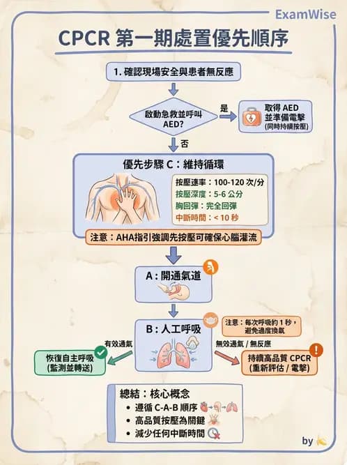 護理師 - CPR、AED與急救技術 - AI 圖文解析預覽
