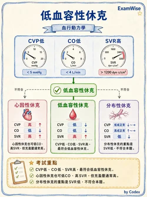 呼吸治療師 - 休克、敗血症與多器官衰竭 - AI 圖文解析預覽