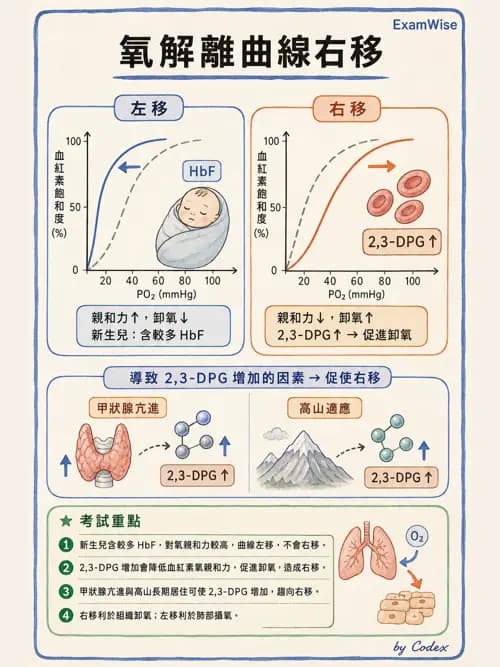 呼吸治療師 - 重症監測與判讀 - AI 圖文解析預覽