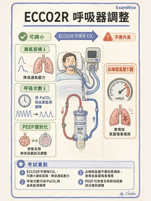 呼吸治療師 - 重症特殊處置 - AI 圖文解析預覽