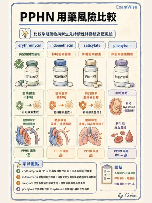 呼吸治療師 - 小兒相關重症 - AI 圖文解析預覽