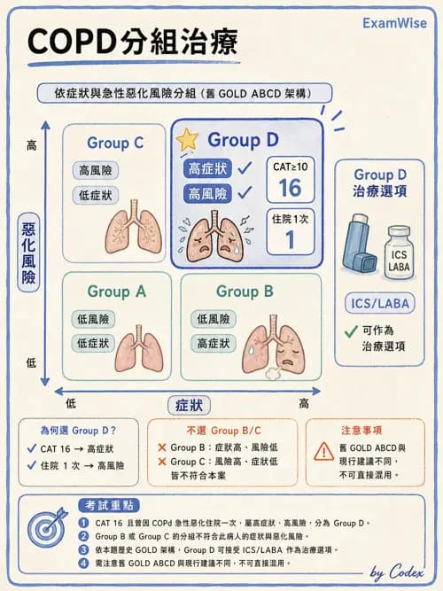 呼吸治療師 - 慢性氣道疾病 - AI 圖文解析預覽