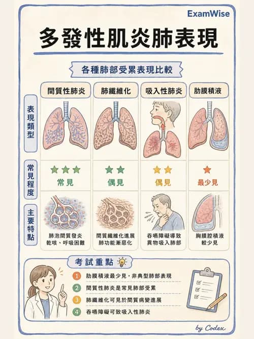 呼吸治療師 - 肺間質病變 - AI 圖文解析預覽