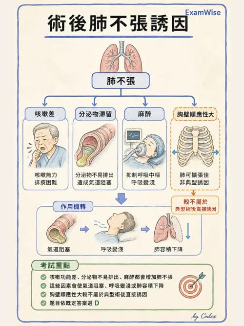 呼吸治療師 - 兒童呼吸系統疾病 - AI 圖文解析預覽