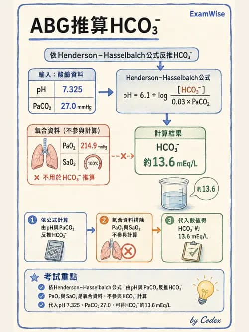 呼吸治療師 - 酸鹼平衡與腎臟生理 - AI 圖文解析預覽