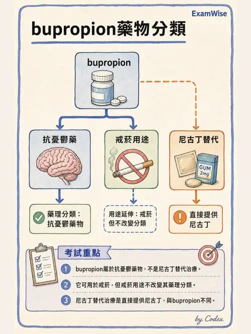 呼吸治療師 - 呼吸系統藥物 - AI 圖文解析預覽