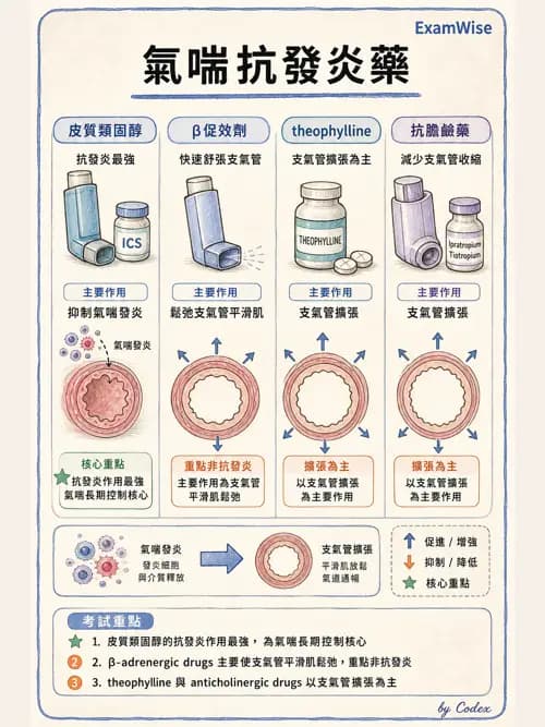 呼吸治療師 - 呼吸系統藥物 - AI 圖文解析預覽