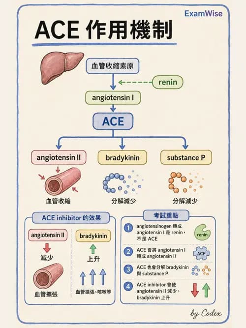 呼吸治療師 - 心臟血管藥物 - AI 圖文解析預覽