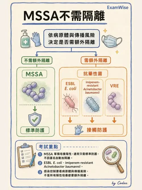 呼吸治療師 - 感染管制與職業安全 - AI 圖文解析預覽