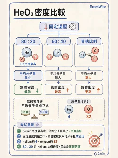 呼吸治療師 - 氣體輸送系統與氧氣治療 - AI 圖文解析預覽