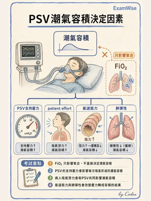 呼吸治療師 - 長期呼吸照護 - AI 圖文解析預覽