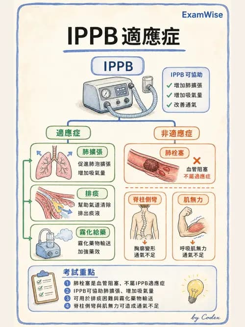 呼吸治療師 - 胸部擴張與物理治療設備 - AI 圖文解析預覽