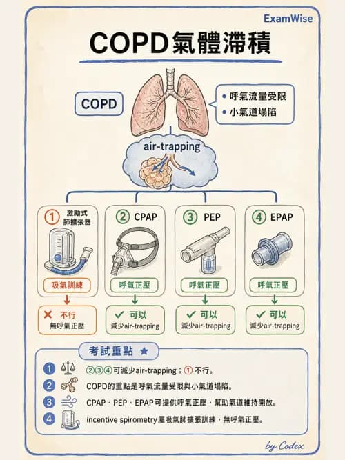 呼吸治療師 - 胸部擴張與物理治療設備 - AI 圖文解析預覽