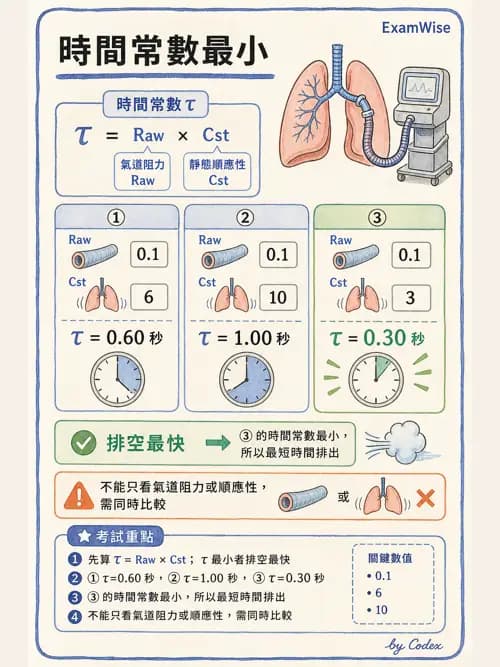 呼吸治療師 - 機械通氣生理 - AI 圖文解析預覽