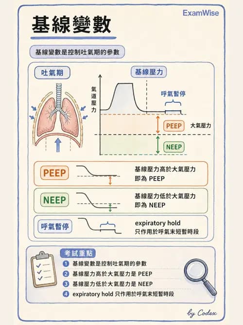 呼吸治療師 - 呼吸器設計與通氣模式 - AI 圖文解析預覽