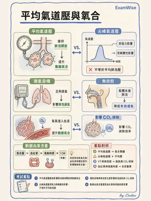 呼吸治療師 - 呼吸器監測與評估 - AI 圖文解析預覽