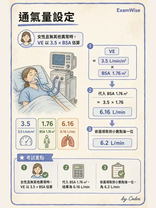 呼吸治療師 - 臨床設定、參數調整與脫離 - AI 圖文解析預覽