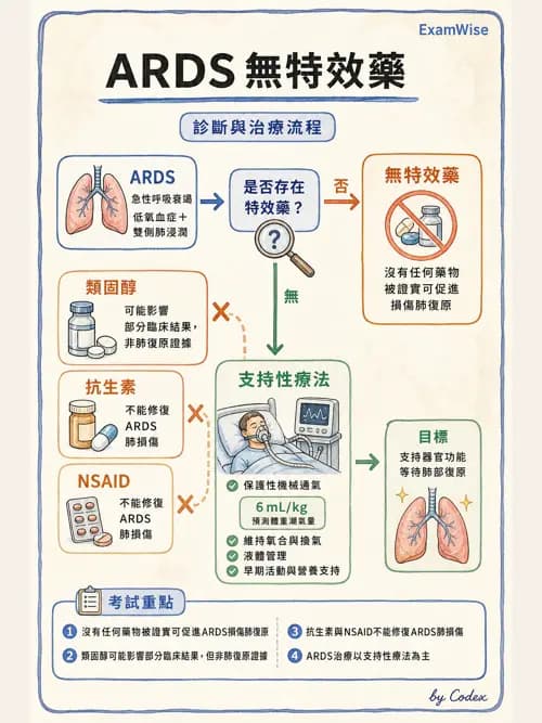 呼吸治療師 - ARDS與呼吸衰竭 - AI 圖文解析預覽