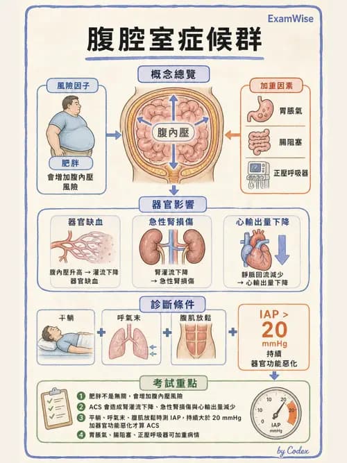 呼吸治療師 - 術後與其他呼吸重症 - AI 圖文解析預覽