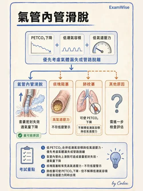 呼吸治療師 - 重症監測與判讀 - AI 圖文解析預覽