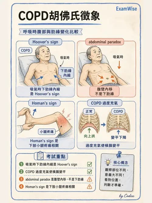 呼吸治療師 - 慢性氣道疾病 - AI 圖文解析預覽