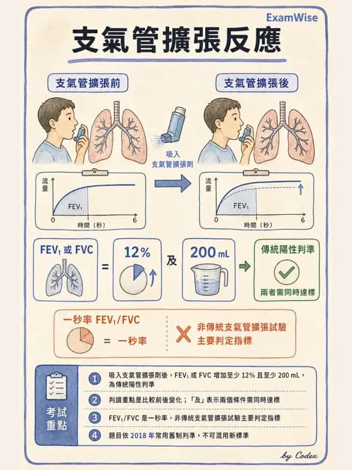 呼吸治療師 - 慢性氣道疾病 - AI 圖文解析預覽