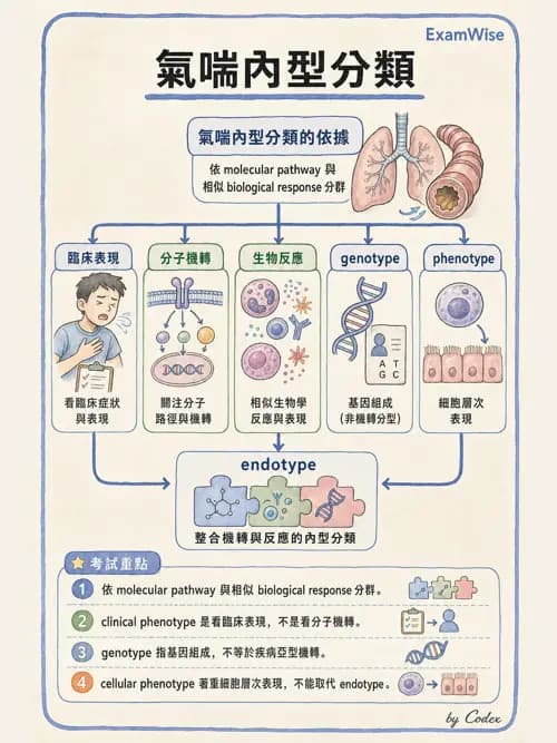 呼吸治療師 - 慢性氣道疾病 - AI 圖文解析預覽