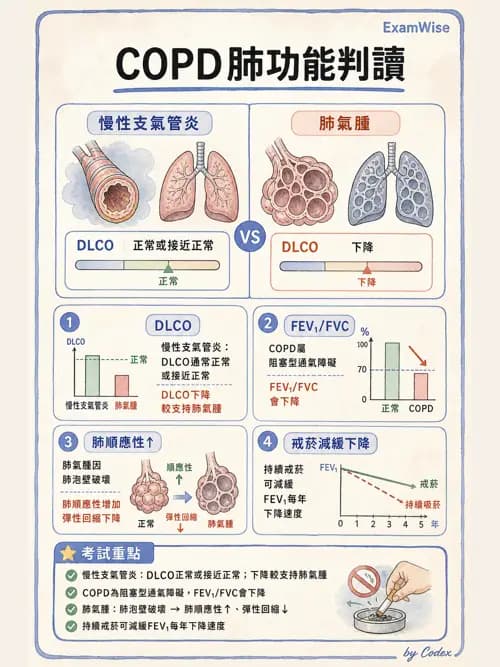呼吸治療師 - 慢性氣道疾病 - AI 圖文解析預覽
