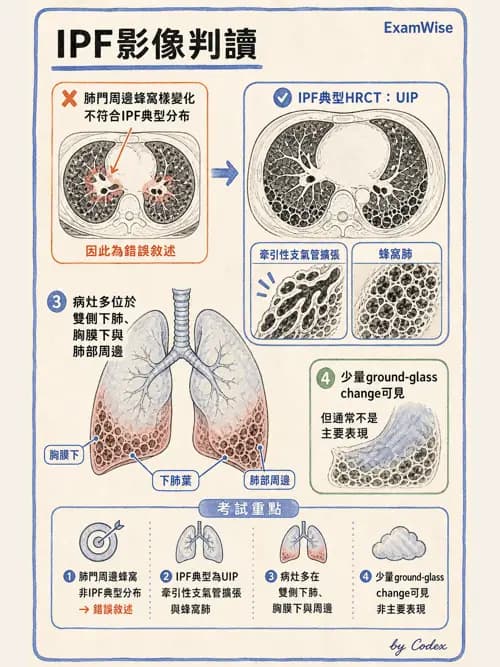 呼吸治療師 - 肺間質病變 - AI 圖文解析預覽