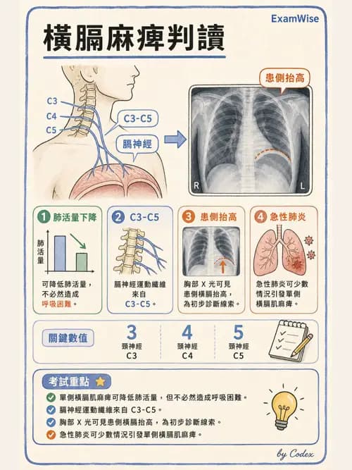 呼吸治療師 - 神經肌肉病變與腫瘤 - AI 圖文解析預覽