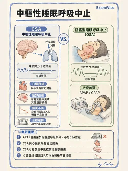 呼吸治療師 - 睡眠相關呼吸障礙 - AI 圖文解析預覽