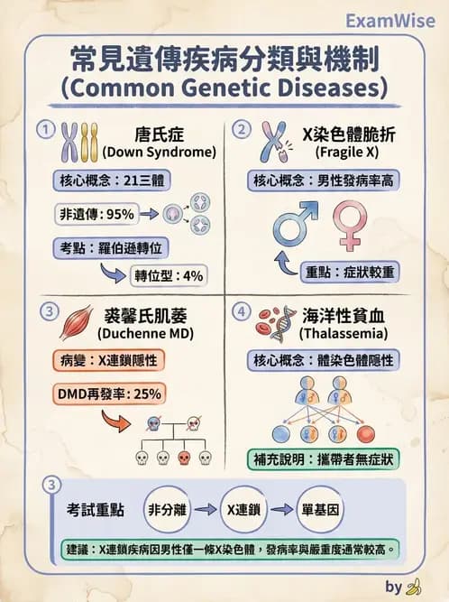 護理師 - 高危險妊娠 - AI 圖文解析預覽