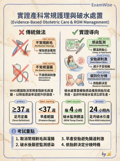 護理師 - 產程機轉與待產護理 - AI 圖文解析預覽