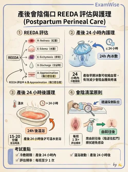 護理師 - 產後生理恢復與護理 - AI 圖文解析預覽
