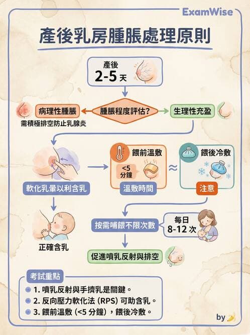 護理師 - 產後生理恢復與護理 - AI 圖文解析預覽