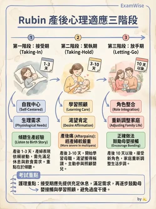 護理師 - 分娩過程與產科急症 - AI 圖文解析預覽