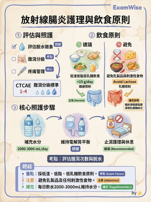 護理師 - 兒童消化系統疾病 - AI 圖文解析預覽