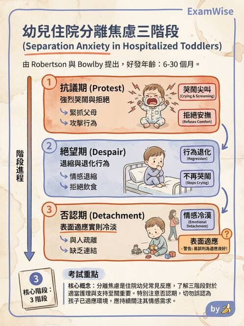 護理師 - 兒童心理社會發展與遊戲 - AI 圖文解析預覽