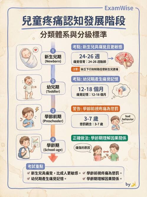 護理師 - 兒童心理與特殊照護 - AI 圖文解析預覽