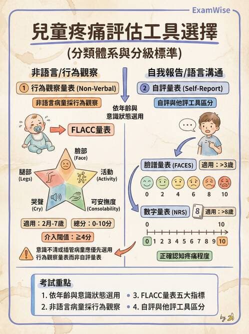 護理師 - 兒童基本護理評估技術 - AI 圖文解析預覽