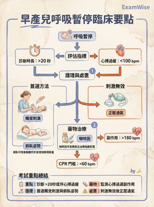 護理師 - 高危險新生兒 - AI 圖文解析預覽