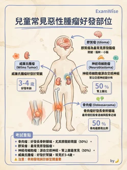 護理師 - 兒童血液與腫瘤疾病 - AI 圖文解析預覽