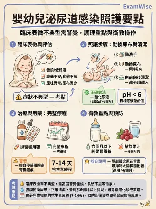 護理師 - 兒童泌尿系統疾病 - AI 圖文解析預覽