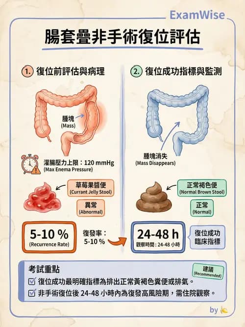 護理師 - 兒童消化系統疾病 - AI 圖文解析預覽