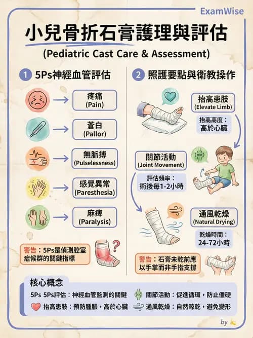 護理師 - 兒童神經肌肉骨骼疾病 - AI 圖文解析預覽