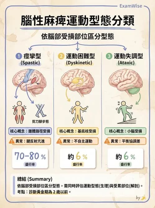 護理師 - 兒童神經肌肉骨骼疾病 - AI 圖文解析預覽