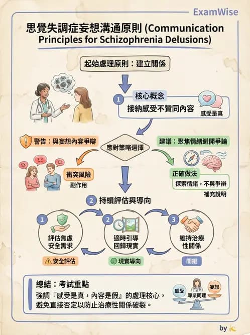 護理師 - 思覺失調症護理 - AI 圖文解析預覽