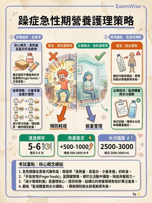 護理師 - 雙相情緒障礙護理 - AI 圖文解析預覽